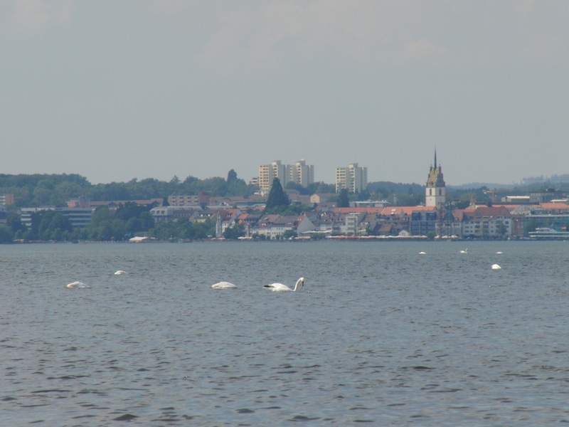 CIMG6754.JPG